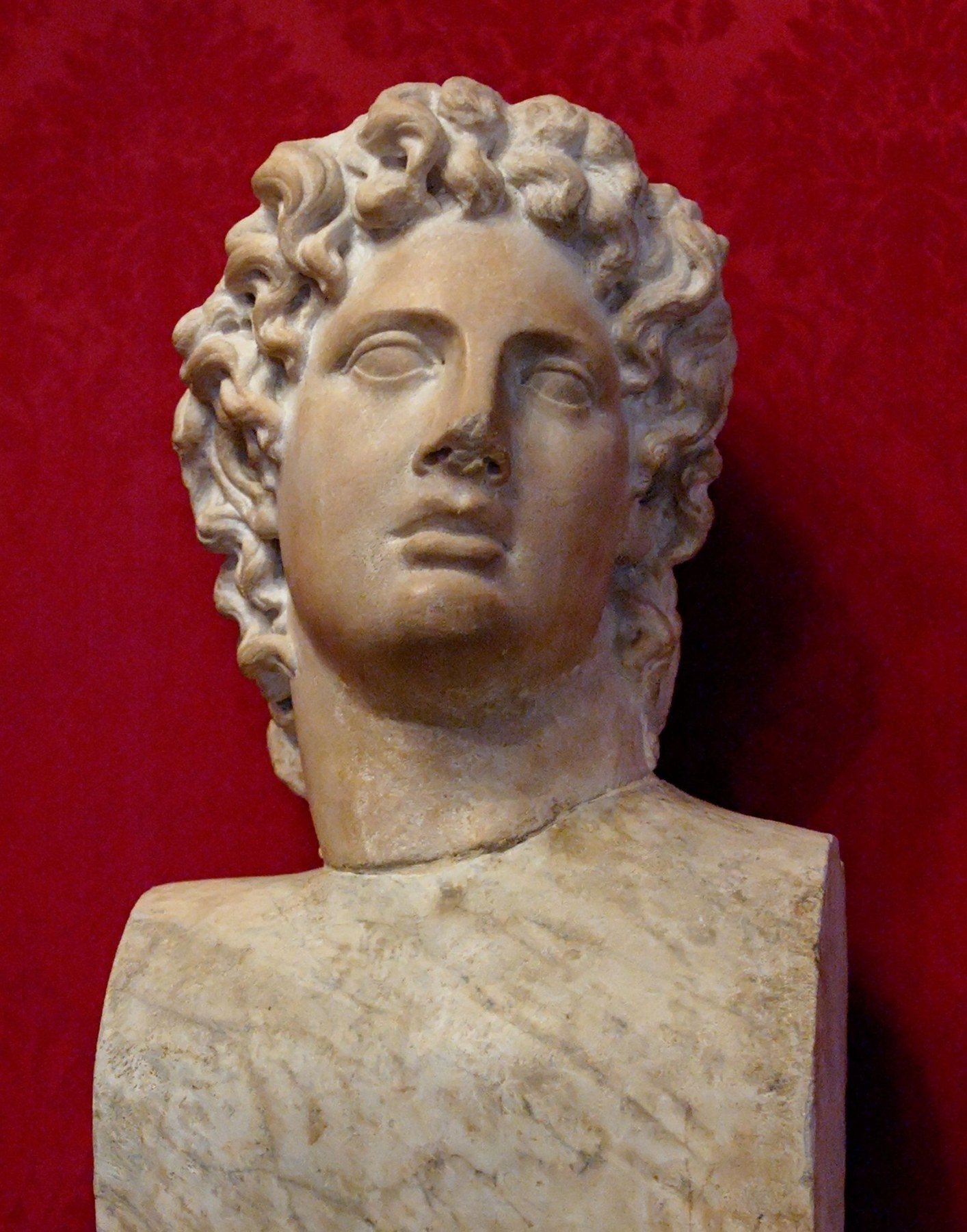 Marble ideal male portrait traditionally identified as Alcibiades, a Roman copy after a Late Classical Greek original.