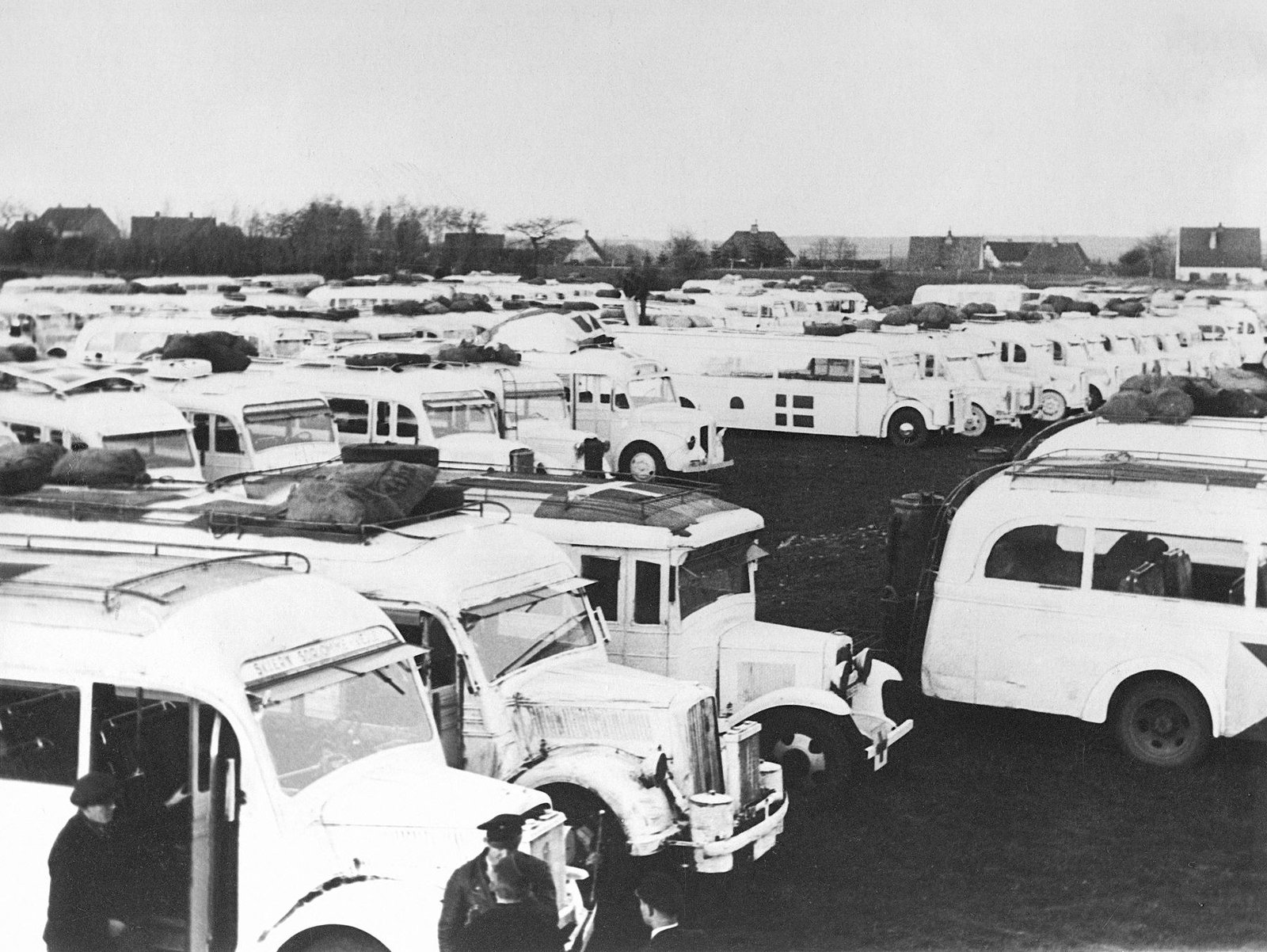 Dozens of white rescue buses and support vehicles packed into a field at Padborg, Denmark, on 19 April 1945.